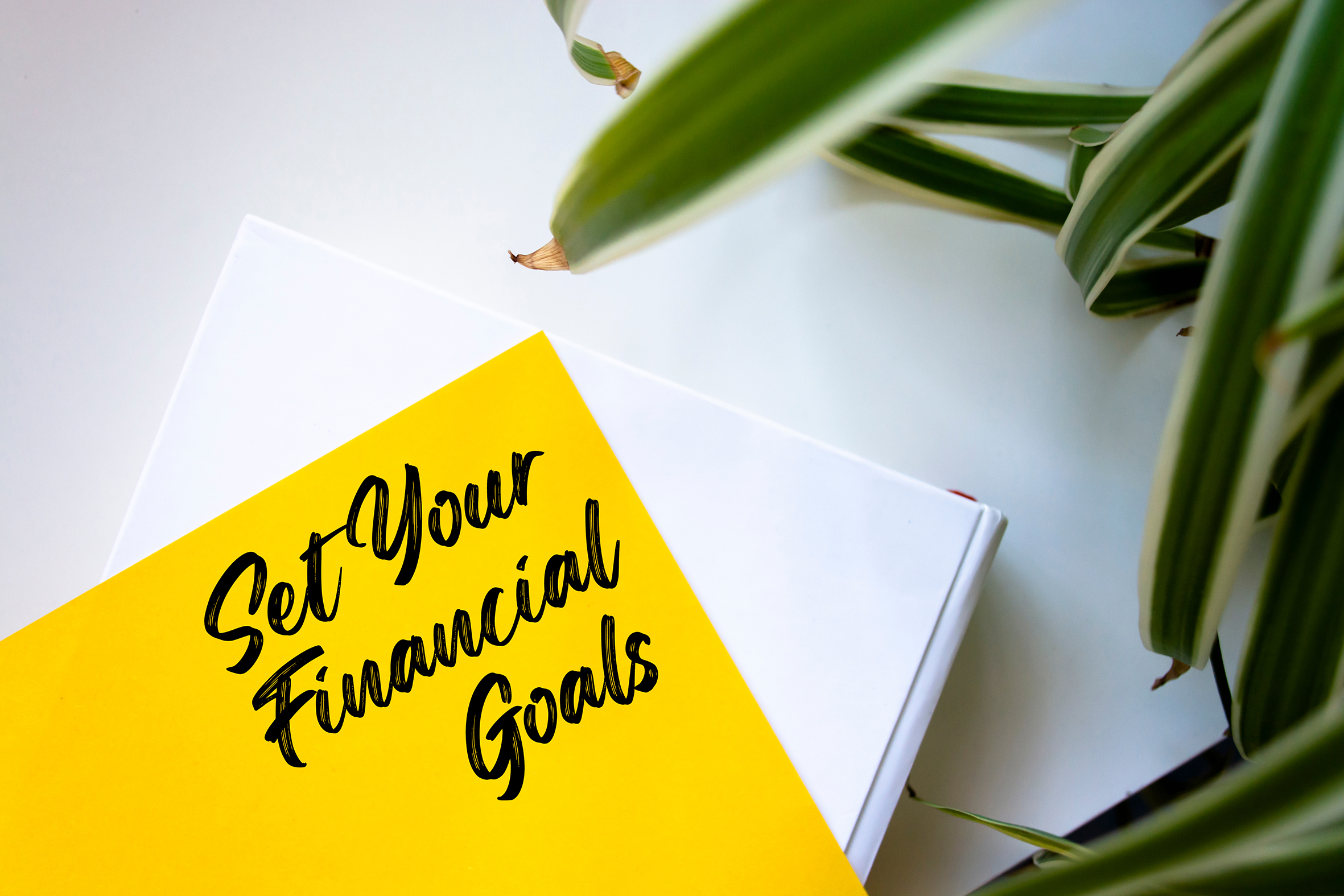 Financial Goals and Who Needs Them? Launch Finance